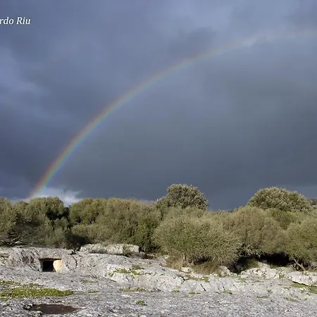Apartamento Su Ghindalu *